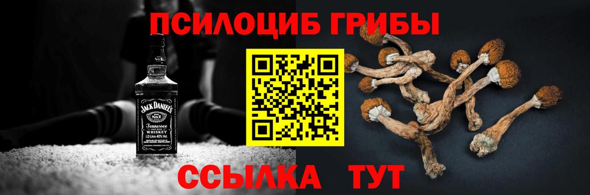 Псилоцибиновые грибы прущие грибы  Вход с VPN  Торжок  Псилоцибиновые грибы Psilocybine cubensis 